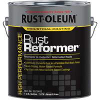 High-Performance 3575 System Rust-Reformer<sup>®</sup>, Gallon  AH014 | TENAQUIP