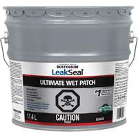 LeakSeal<sup>®</sup> Ultimate Wet Roof Patch  AH043 | TENAQUIP