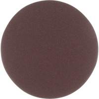 Stikit™ Cloth Disc, 5" Dia., P220 Grit, Aluminum Oxide  BP268 | TENAQUIP