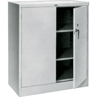 Counter High Cabinets, Steel, 2 Shelves, 42" H x 36" W x 21" D, Grey  FF986 | TENAQUIP