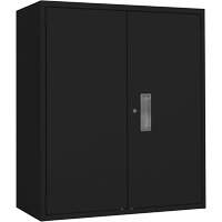 Lo-Boy Storage Cabinet, Steel, 2 Shelves, 42" H x 36" W x 18" D, Black  FL784 | TENAQUIP