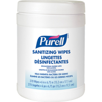 Hand Sanitizing Wipes, Canister  JD602 | TENAQUIP