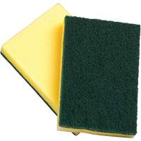 Sponges with Scouring Pad, Scrubbing, 4" W x 6" L JN021 | TENAQUIP