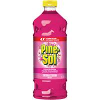 Pine Sol<sup>®</sup> All-Purpose Disinfectant Cleaner, Bottle  JO263 | TENAQUIP
