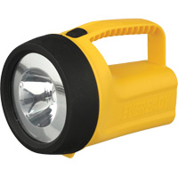 EverReady<sup>®</sup> Readyflex™ Floating Lantern, LED, 80 Lumens, D Batteries  NJO241 | TENAQUIP