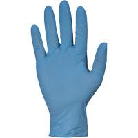 KeepKleen<sup>®</sup> RDNPF Disposable Gloves, Large, Nitrile, 4-mil, Powder-Free, Blue, Class 2  NKC666 | TENAQUIP