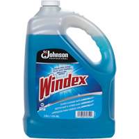 Nettoyant pour vitres Windex<sup>MD</sup> avec Ammoniac-D<sup>MD</sup>, Cruche  OQ982 | TENAQUIP
