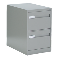 Vertical Filing Cabinet with Recessed Drawer Handles, 2 Drawers, 18.15" W x 26.56" D x 29" H, Grey  OTE612 | TENAQUIP