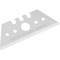Replacement Blade, Single Style  PG076 | TENAQUIP