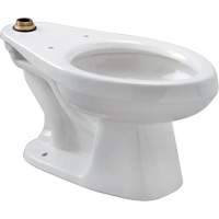 EcoVantage<sup>®</sup> HET Floor Mounted Toilet System  PUM302 | TENAQUIP