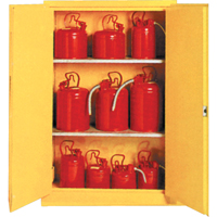 Insulated Flammable Liquid Safety Cabinets, 45 gal., 2 Door, 44" W x 66" H x 19" D  SA088 | TENAQUIP
