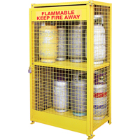 Gas Cylinder Cabinets, 12 Cylinder Capacity, 44" W x 30" D x 74" H, Yellow SAF847 | TENAQUIP