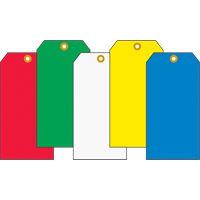 Coloured Blank Tags, Cardstock, 2-7/8" W x 5-3/4" H  SAW550 | TENAQUIP