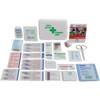 Promotional First Aid Kits, Class 1 Medical Device, Plastic Box  SAY231 | TENAQUIP