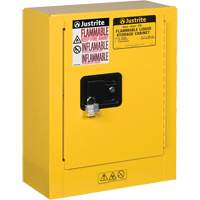 Sure-Grip<sup>®</sup> EX Mini Flammable Safety Cabinet, 2 Gal., 1 Door, 17" W x 22" H x 8" D  SEG862 | TENAQUIP