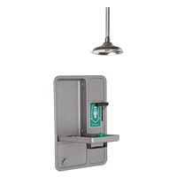 Eye/Face Wash and Shower, Ceiling-Mount  SGC294 | TENAQUIP