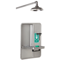 Eye/Face Wash and Shower, Ceiling-Mount  SGC296 | TENAQUIP
