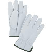 Premium Driver's Gloves, Medium, Grain Goatskin Palm SGW786 | TENAQUIP