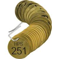 Brass Numbered "HPS" Valve Tags  SX493 | TENAQUIP