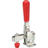 Vertical Hold-Down Clamps - 207 Series  TN064 | TENAQUIP