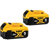 Max XR<sup>®</sup> Premium Battery Pack, Lithium-Ion, 20 V, 5 A  TYL315 | TENAQUIP