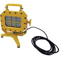 Explosion Proof Floodlight with Stand, LED, 40 W, 5600 Lumens, Aluminum Housing  XJ040 | TENAQUIP
